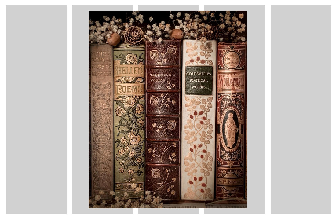 Vintage book spines image inserted into a Procreate canvas