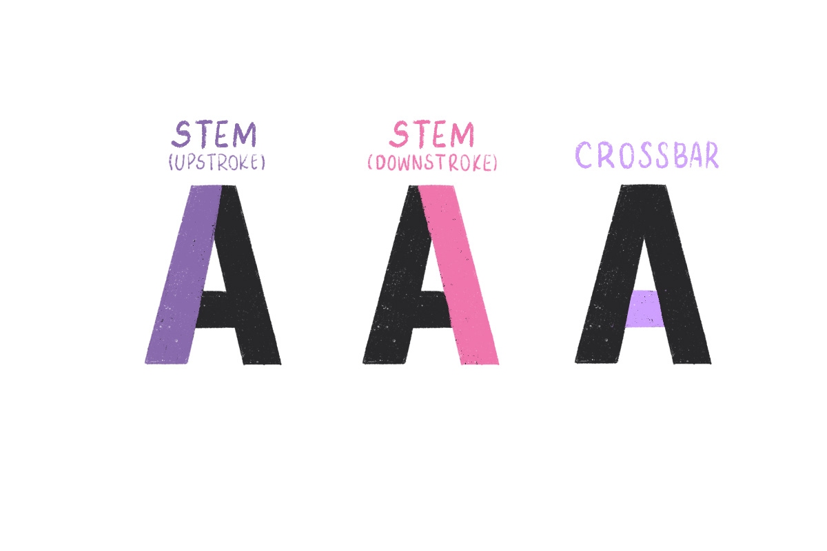 Three letters 'A’s in a row, each highlighting different parts of the letter. The first 'A' has its left vertical line in purple labeled ‘Stem (Upstroke)’, the second ‘A’ has its right vertical line in pink labeled 'Stem (Downstroke)', and the third 'A' has its horizontal line in light purple labeled 'Crossbar'.