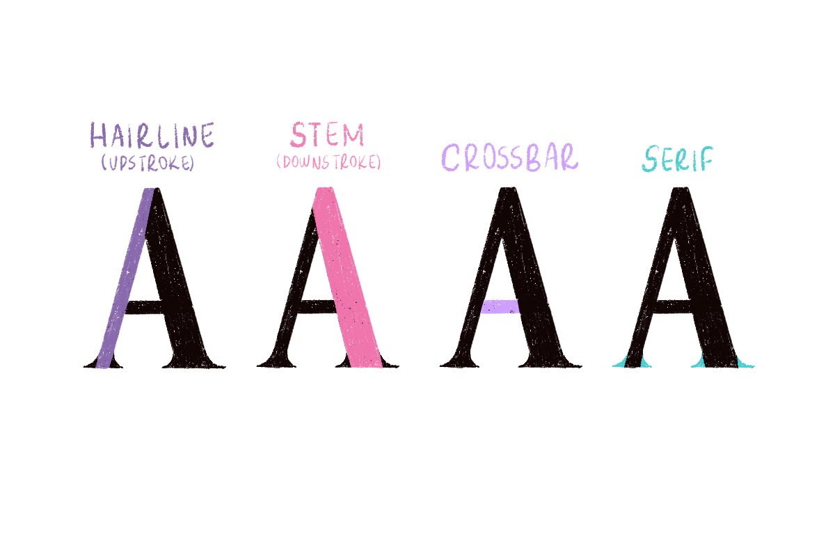 Four letters 'A’s in a row, each highlighting different parts of the letter. The first 'A' has its left vertical line in purple labeled ‘Stem (Upstroke)’, the second ‘A’ has its right vertical line in pink labeled 'Stem (Downstroke)', the third 'A' has its horizontal line in light purple labeled 'Crossbar', and the fourth has its serifs in turquoise.