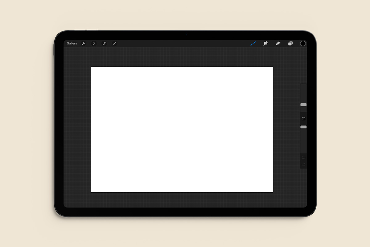 iPad screen showing Procreate's interface.