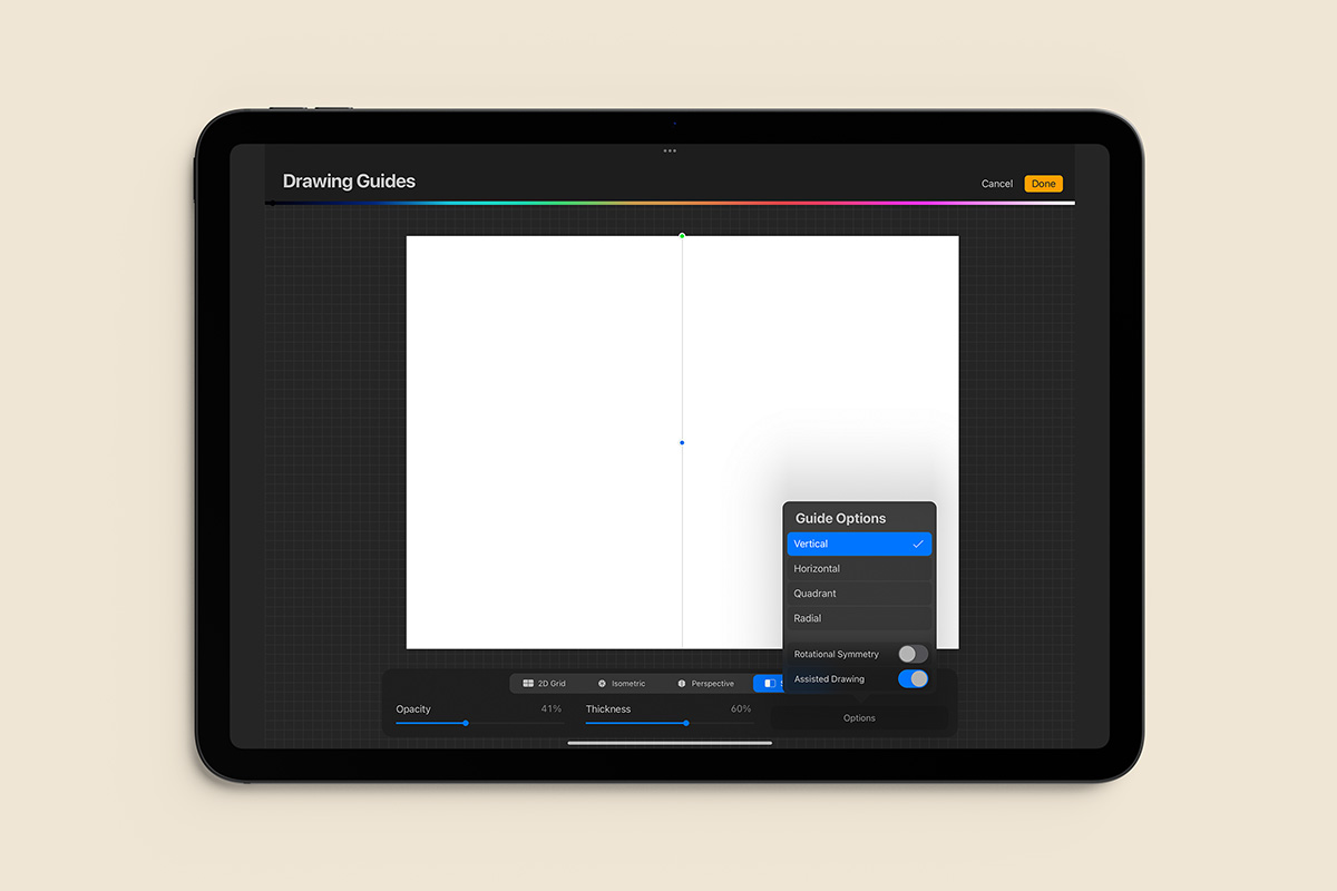 iPad screen showing Procreate's Symmetry Tool.